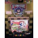 Racing Champions Ernie Irvan 1998 Skittles Monte Carlo