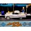 Motor Max American Graffiti 1957 Ford Thunderbird Diorama