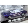 Greenlight Hobby Exclusives - Flemington Speedway Promo - 1971 Dodge Challenger Convertible