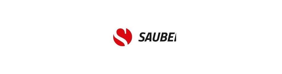 Sauber Motorsports
