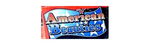 American Beauties