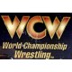 WCW Wrestling, WCW 24K Gold Plated Series, nWo Wrestling