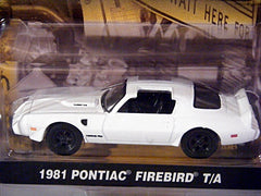 Greenlight County Roads - 1981 Pontiac Firebird Trans Am
